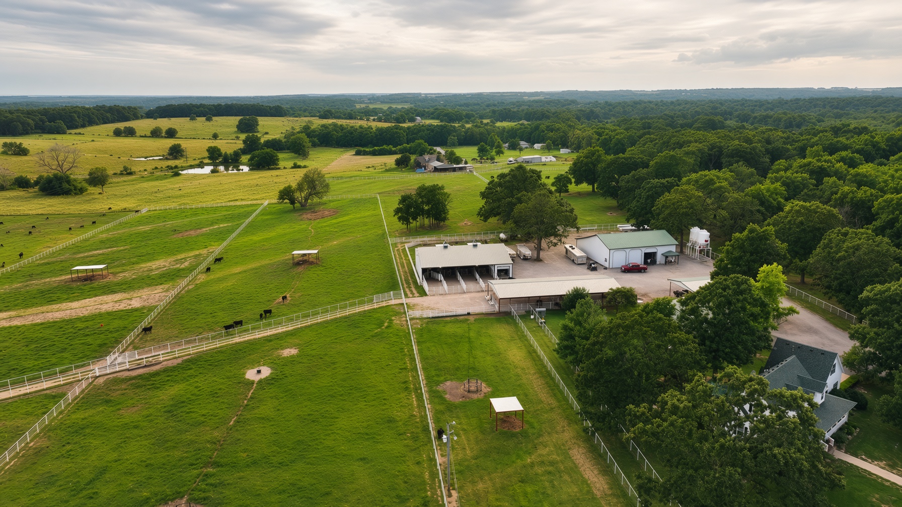 Circle M Farms